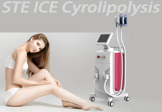 China Máquina do emagrecimento de Cryo Cryolipolysis do vácuo para a máquina gorda da cavitação fornecedor