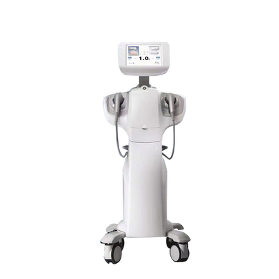 Ultra-som focado de alta intensidade Hifu Cuidados vaginais Rejuvenescimento Vaginas Máquina de aperto